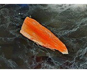 Fresh Trout Fillets
